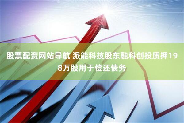股票配资网站导航 派能科技股东融科创投质押198万股用于偿还债务