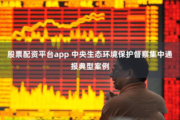 股票配资平台app 中央生态环境保护督察集中通报典型案例