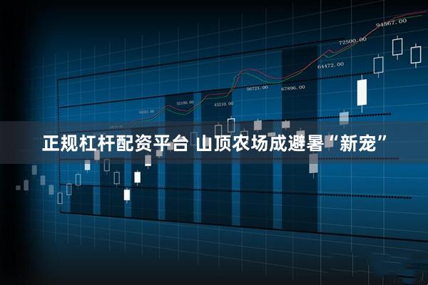 正规杠杆配资平台 山顶农场成避暑“新宠”